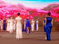 重慶第五屆職業(yè)教育活動周啟動，茶藝、扎染、3D打印與禮儀文化共展職教風采